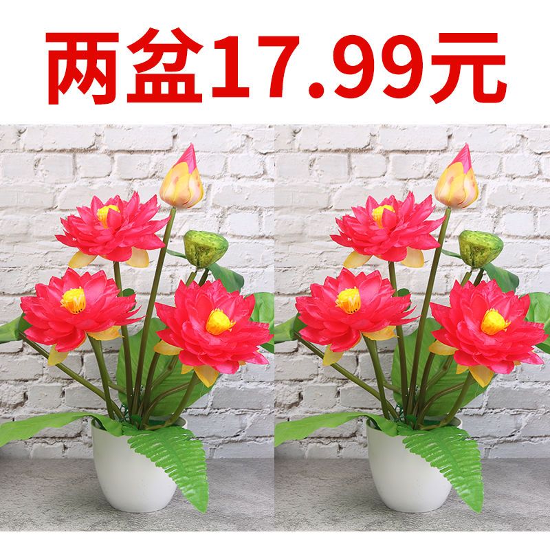 朴珀妮仿真荷花莲花供佛花套装 假荷花塑料假花绢花小盆栽家居装饰