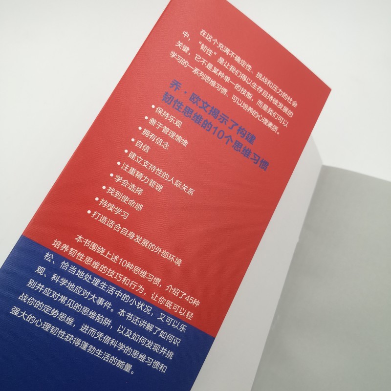 韧性思维：培养逆商、低谷反弹、持续成长（人邮普华出品）详情图