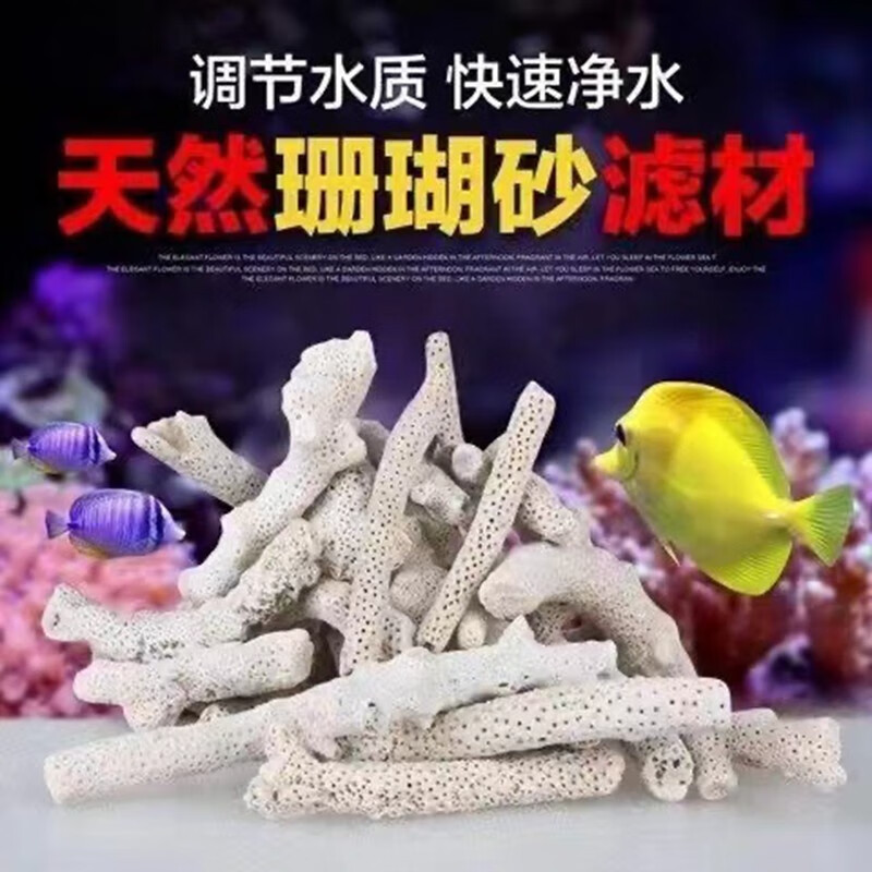 大匠神彩优质珊瑚砂鱼缸过滤材料菲律宾珊瑚沙珊瑚骨提高PH滤材净水海水沙 1斤+网袋