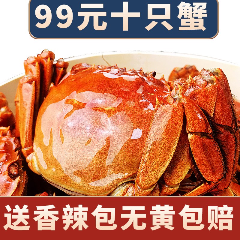 【活蟹】中阳湖大闸蟹螃蟹六月黄2.0-2.3两10只 螃蟹鲜