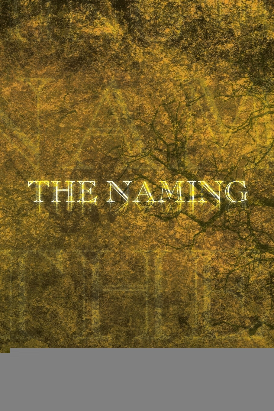 【预售 按需印刷】the naming