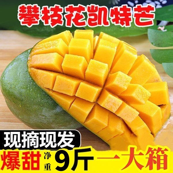 ˮľâ10Ĵ֦âˮ֭ժӦ 9 ̳װ(400-500g)190.5Ԫ38.1Ԫ/