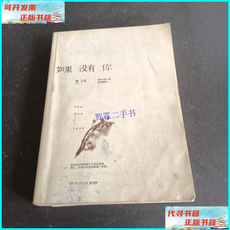 【二手9成新】从你的全世界路过:摆渡人典藏版 /张嘉佳 湖南文艺