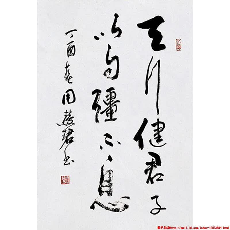 毛笔手写字画定制周先生慧珺书法天行健收藏名人字画客厅茶室装饰画