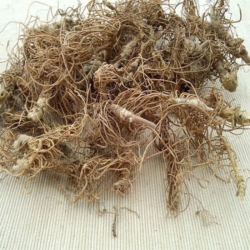山旗舰店 正宗野外生地胆头干货新鲜晒干矮脚地胆头草根煲汤料中药材