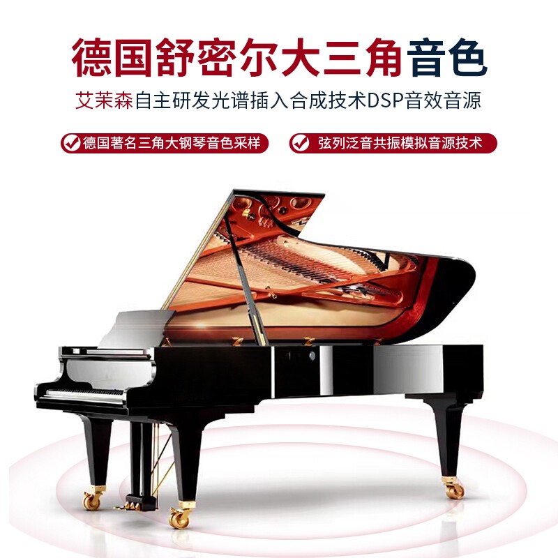 艾茉森（Amason）珠江钢琴 考级电钢琴88键重锤数码电子钢琴高端手感F13