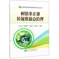 村镇非正规垃圾堆放点治理