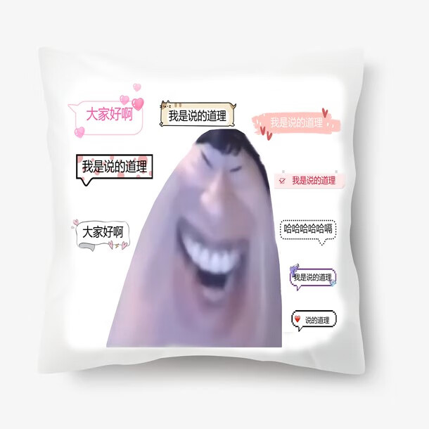 澳颜莱说的道理抱枕 说的道理抱枕抱枕套网红风烫金靠垫枕芯套可做枕
