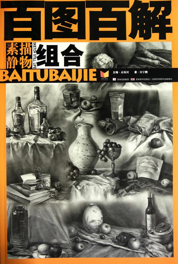 百图百解:素描静物·组合