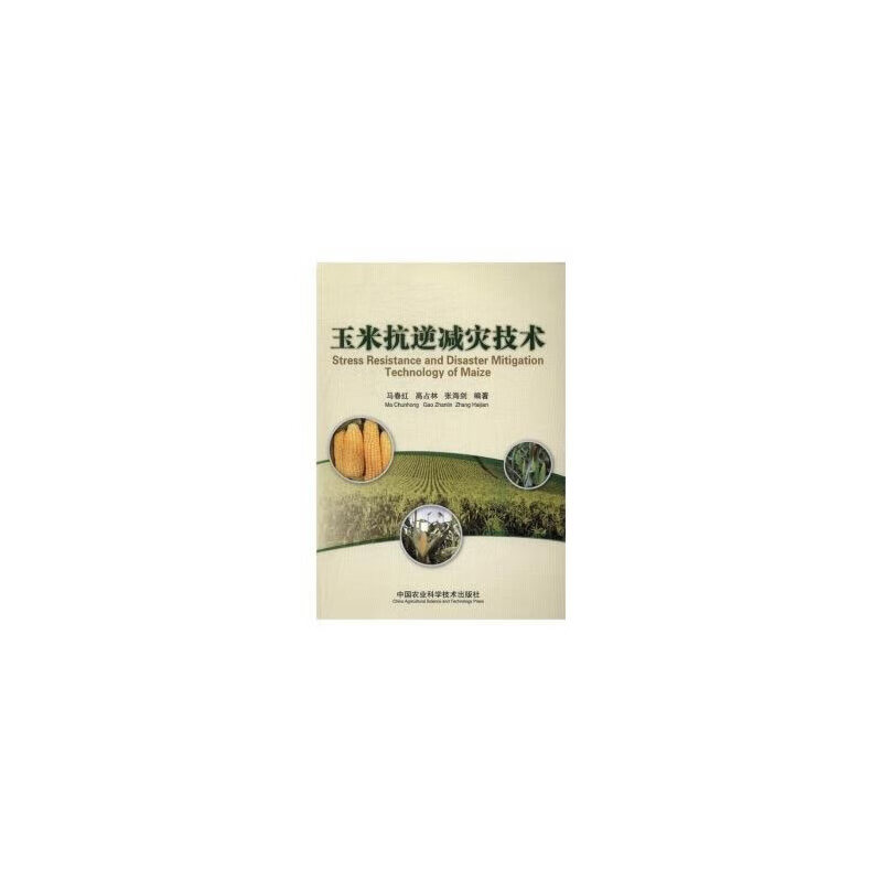 玉米抗逆减灾技术