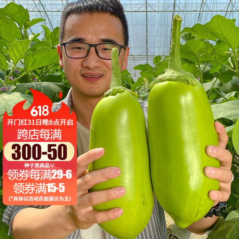 农之子 长茄子种子杭茄苗秧紫红色春季菜种子大全老品种 绿冠卵圆茄