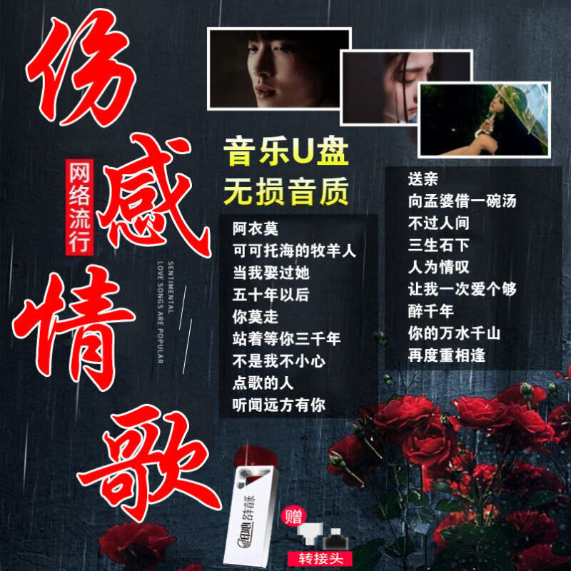 伤感情感 16g1000首歌曲