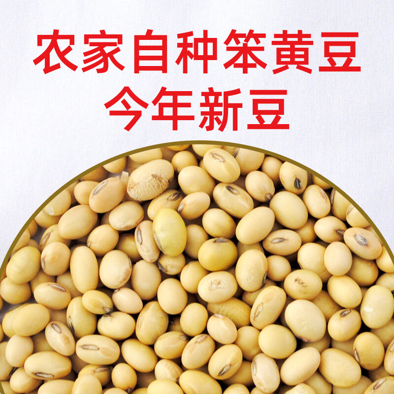 星润嘉黄豆农家自种黄豆打豆浆专用黄豆老品种大豆稀有黑脐黄豆 黑脐