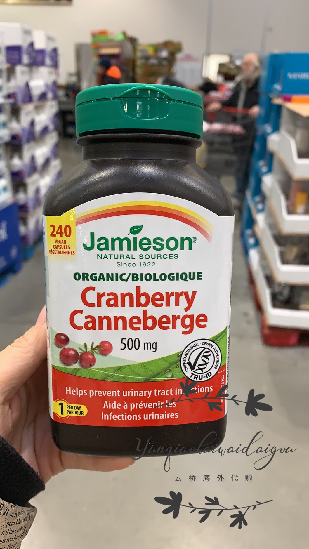 健美生加拿大蔓越莓胶囊240粒*500mg  240粒