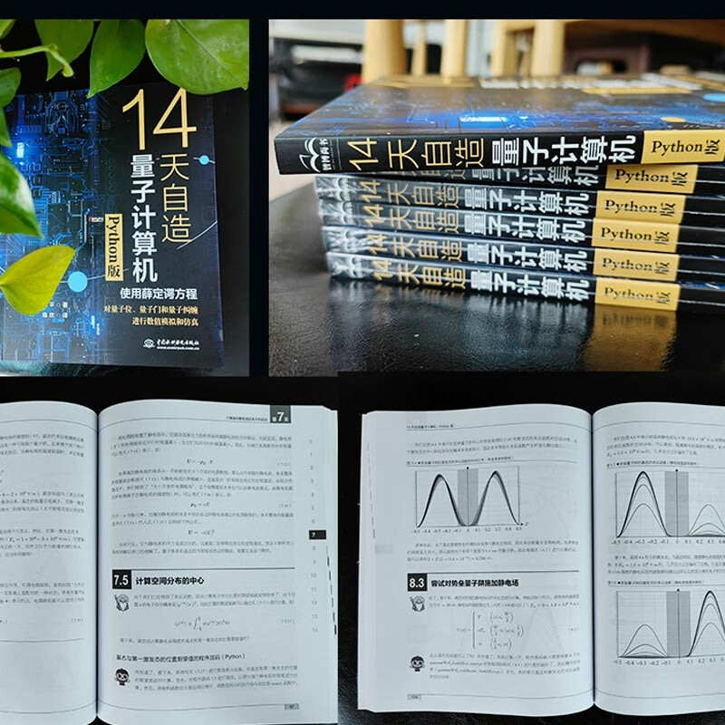 14天自造量子计算机（Python版）量子计算与编程入门量子信息 量子计算基础导论 使用薛定谔方程对量子计算机的基本要素量子位、量子门和量子纠缠进行数值模拟和仿真详情图