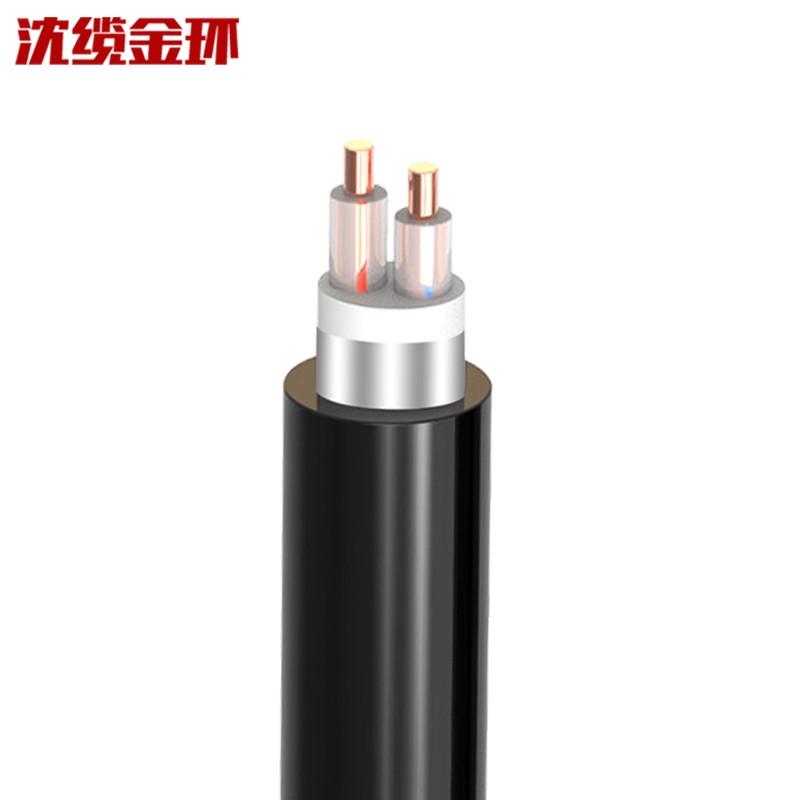 沈缆金环 电力电缆 zr-yjv22 2*4平方线 yjv国标铜芯电缆 钢带铠装 2