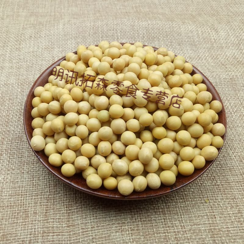 雷禾泽东北大粒黄豆打豆浆专用农家自种新大豆 大粒黄豆10斤