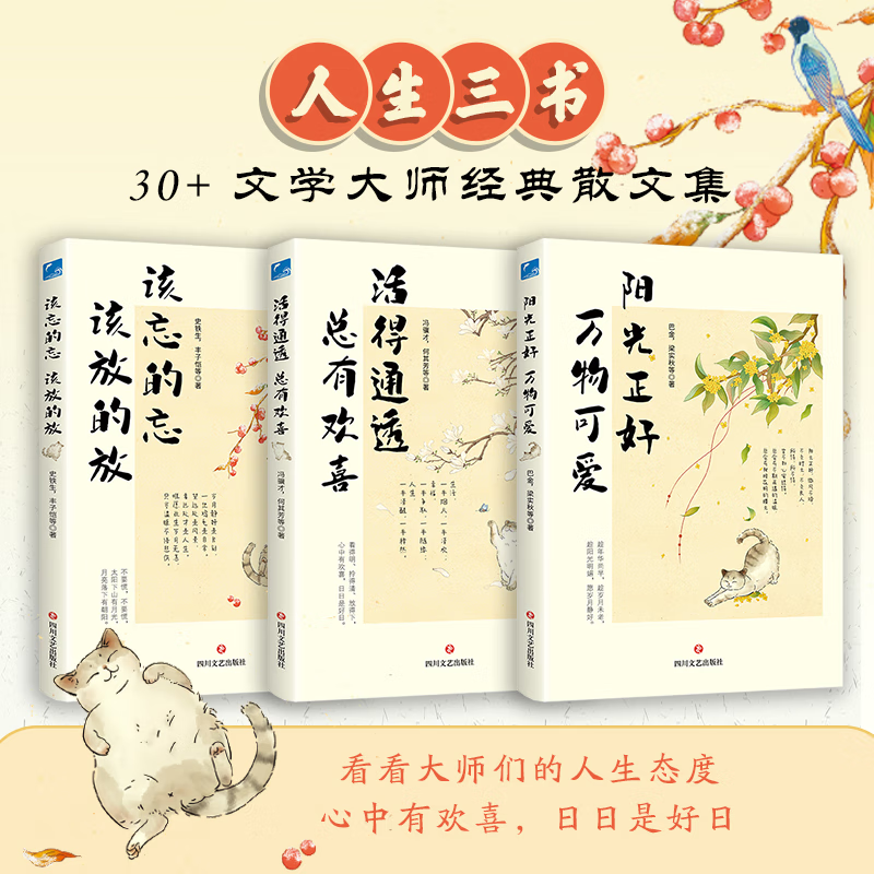 【多规格】人生三书 该忘的忘 该放的放 活得通透 总有欢喜 阳光正好