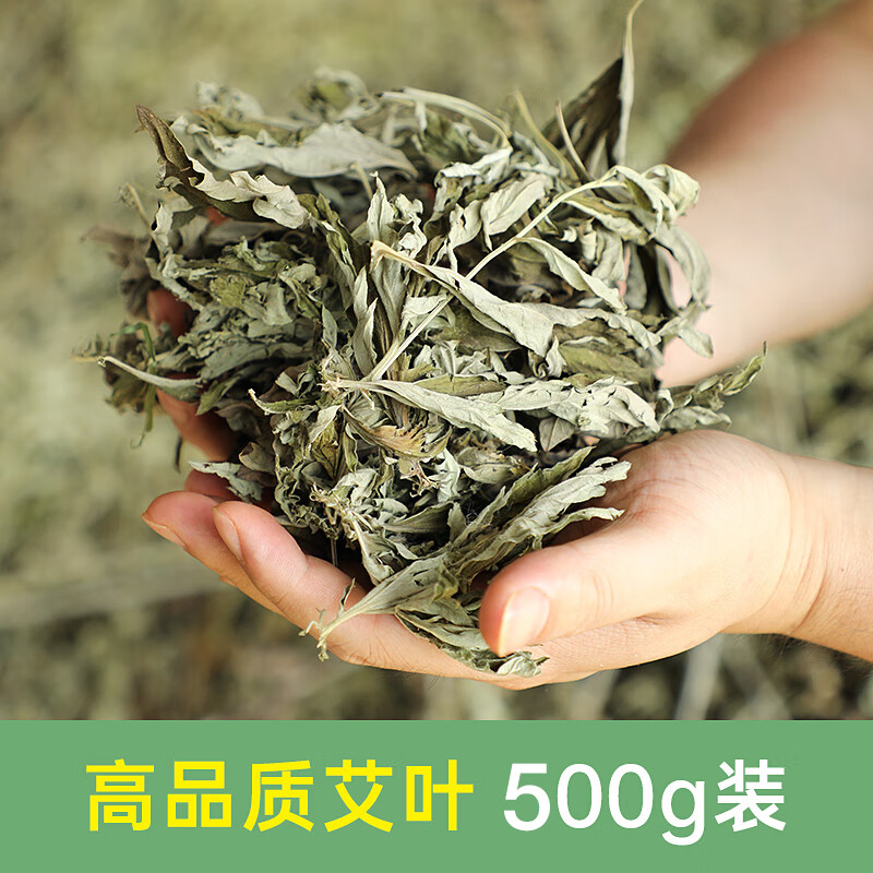 【药房直售】用端午艾叶新鲜整棵蕲艾叶干艾草挂门上艾蒿蚊整把长棵