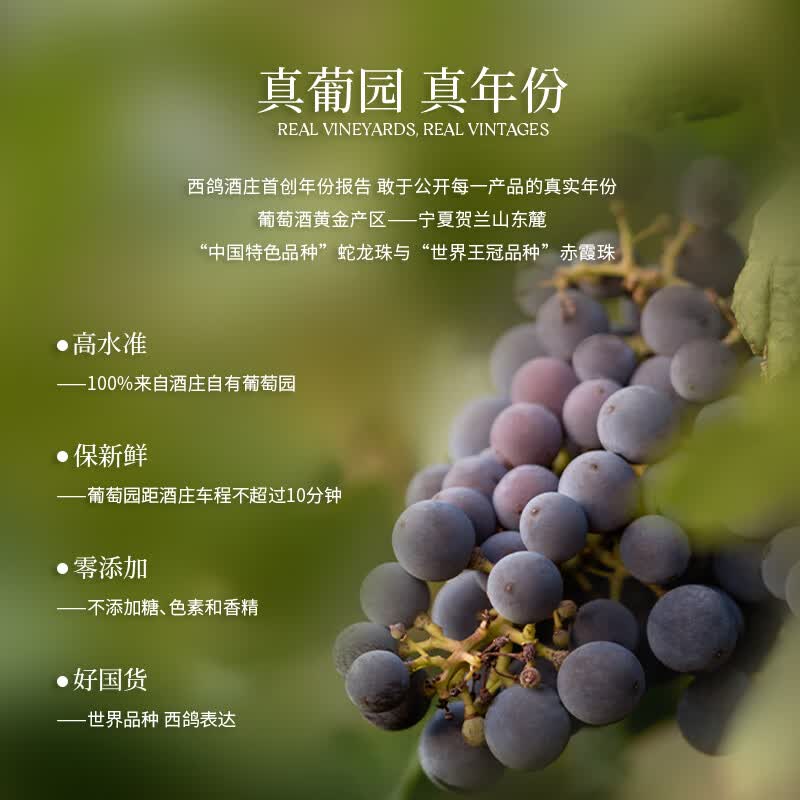 西鸽酒庄N28红酒宁夏葡萄酒贺兰山东麓赤霞珠干红葡萄酒国产红酒礼盒装 187ml*6瓶 整箱装 晚安小酒