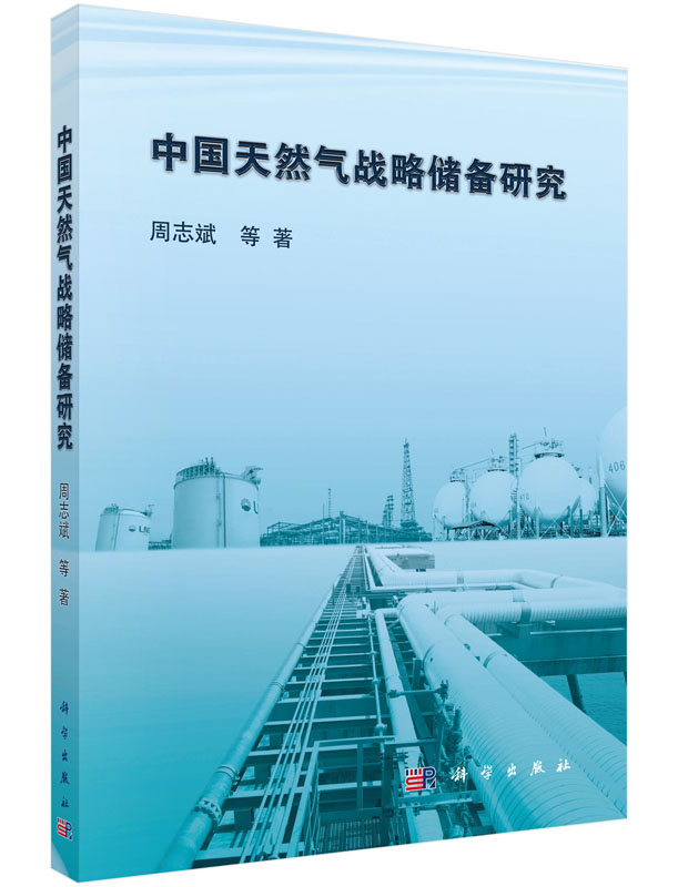 中国天然气战略储备研究