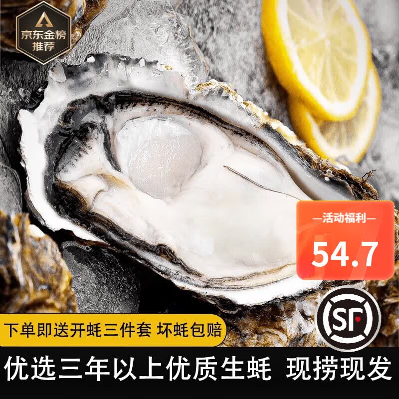 峰贝【活鲜】山东生蚝 鲜活牡蛎海蛎子 刺身现捕现发海鲜水产贝类 3XL号净重4.5斤(约12-18只）高性价比高么？