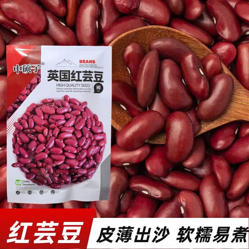 红豆红芸豆种子红豆种子五谷杂粮豆 英国红芸豆种子原装80克【1袋】