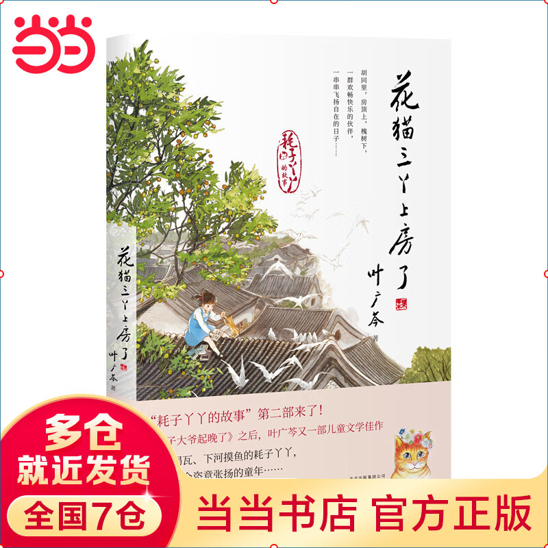 花猫三丫上房了