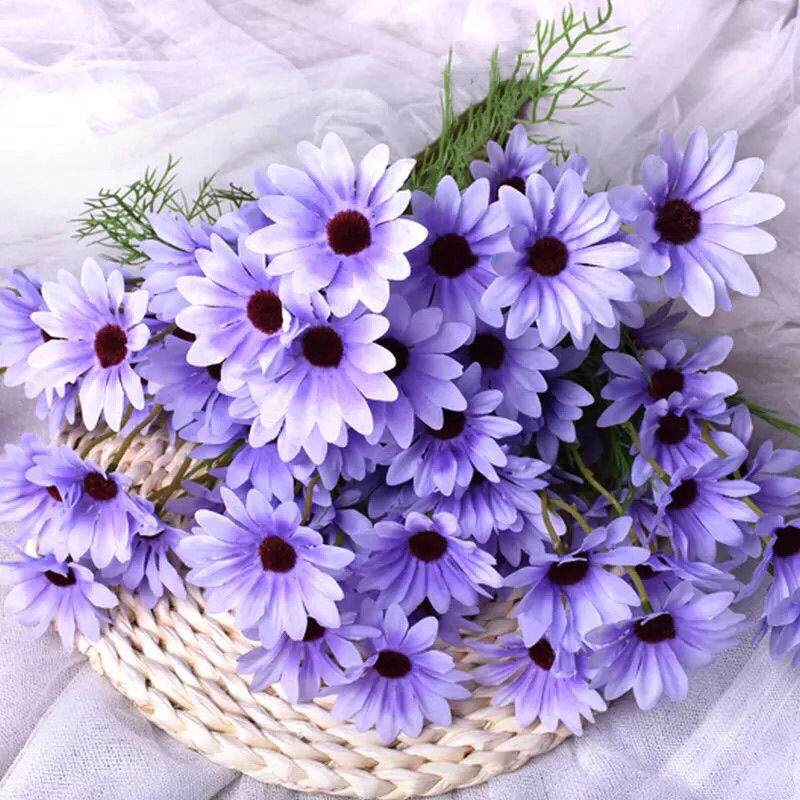 蓝紫色【洋甘菊】 六支装