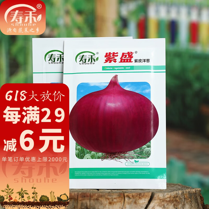 山东寿光青菜四季春蔬菜之乡品质种籽阳台菜籽 寿禾紫盛紫皮洋葱种子