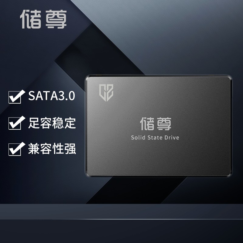 储尊（CZ）128GB SSD固态硬盘 SATA3.0接口 CS101电脑升级