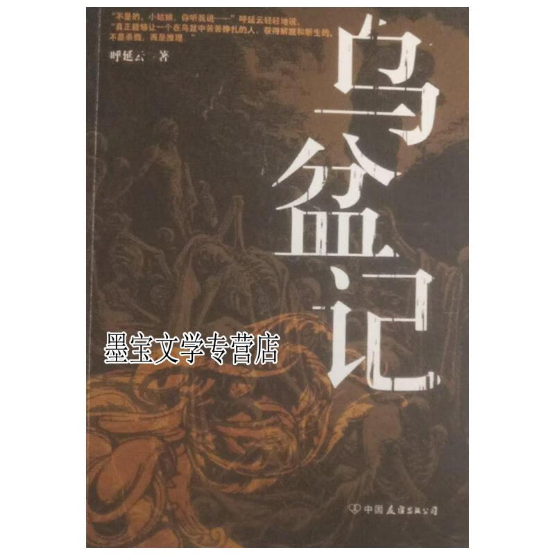 真相推理师系列:乌盆记呼延云推理小说 呼延云 中国友谊