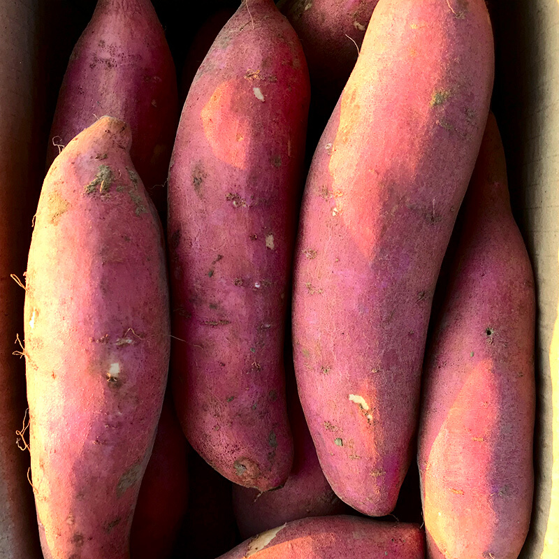 皓谦【jd物流】福建六鳌沙地蜜薯红心红薯新鲜糖心大地瓜生鲜团购 9斤