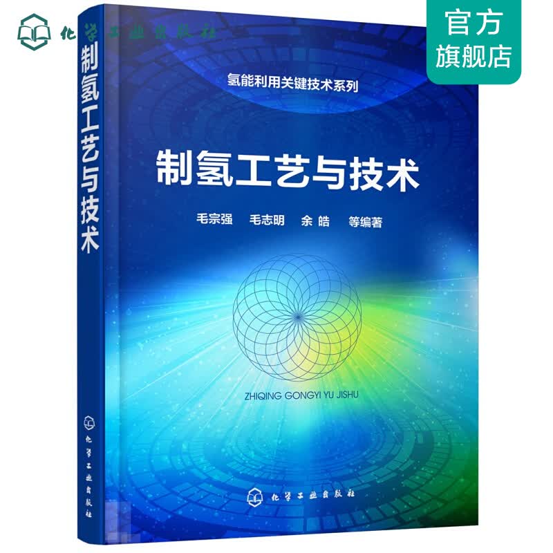 氢能利用关键技术系列--制氢工艺与技术