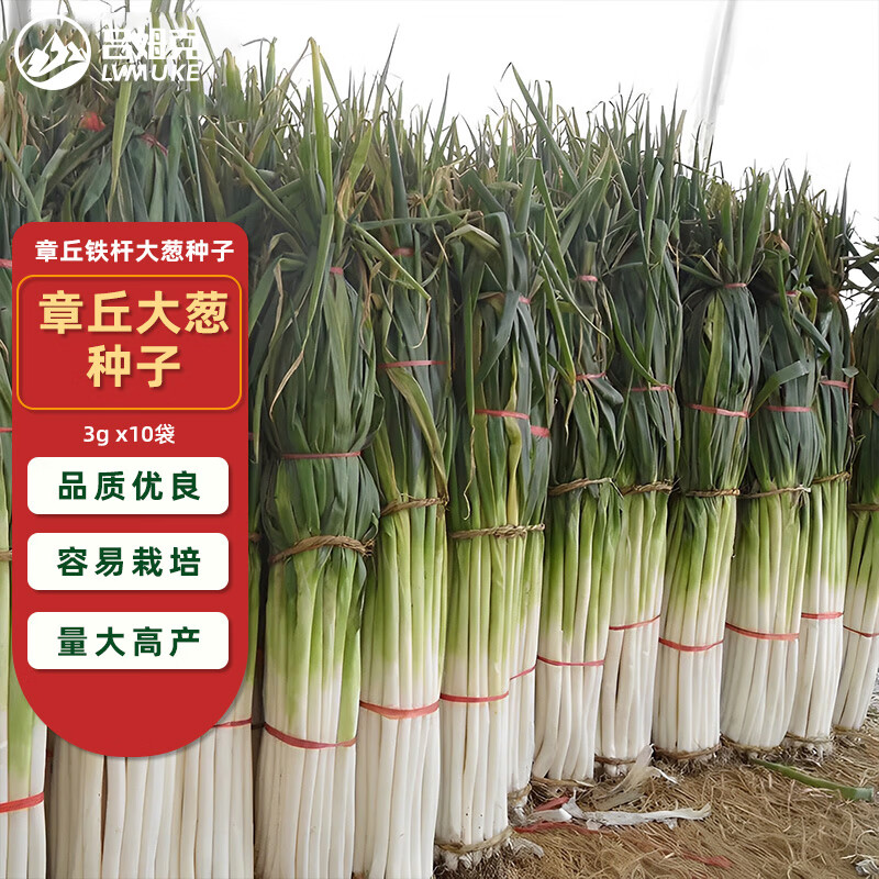 吕姆克章丘铁杆大葱种子 蔬菜种子山东大葱高白菜籽春秋 3gx10袋9202