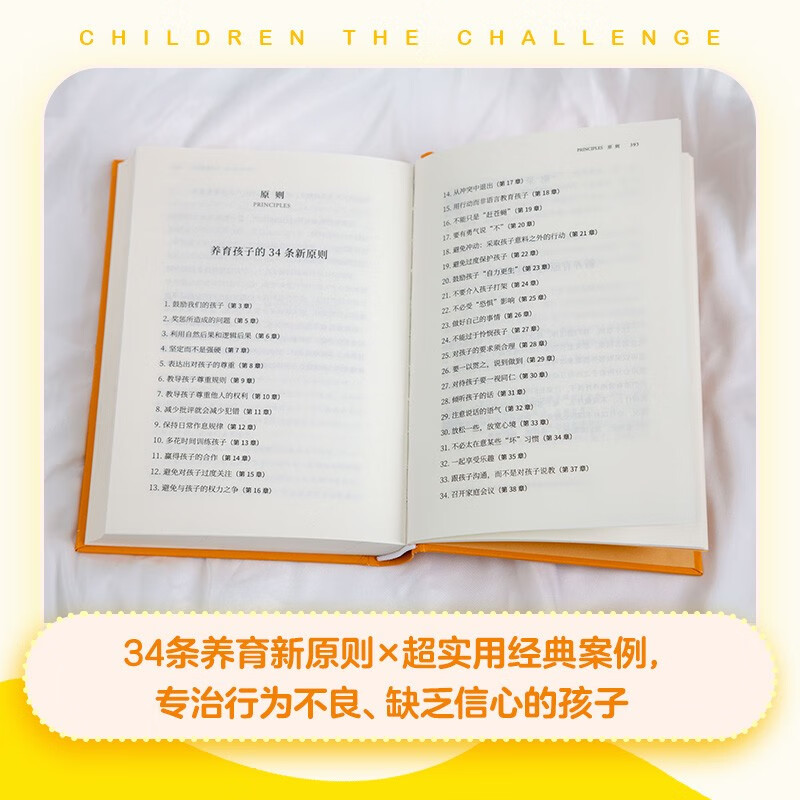 孩子：挑战（正面管教理念先驱者德雷克斯40年心血力作！儿童心理学奠基之作）详情图