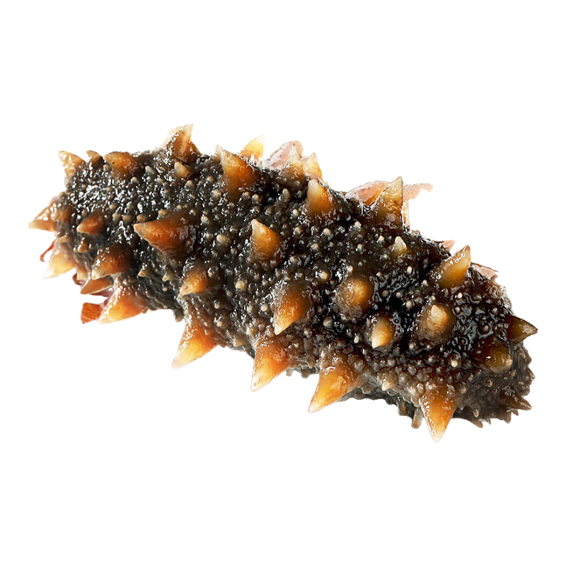 ˫11�񻶡�PLSU��Ա����ֻ���������ʳ���ε���װ�ɴ̲��䶳��ʳ�������ʺ���ˮ��18-22ֻ500g