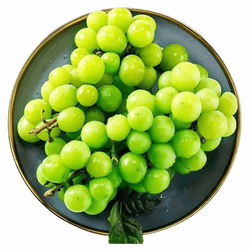 好媛好宇葡萄和提子的历史价格走势及销量趋势分析|京东葡萄提子价格曲线软件