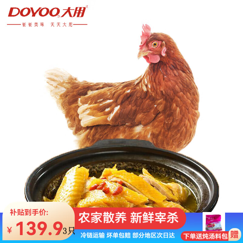 大用（DOYOO）新鲜三黄鸡 整只约850g/只炖汤滋补食材笨鸡走地鸡冷冻农家散养