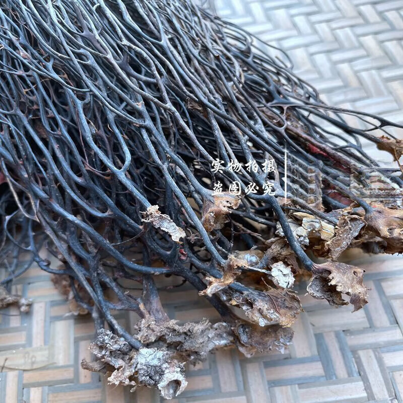 蛇龙草100克中草药弯腰草 还魂草云南苗家龙蛇草 烧林草干品 商品