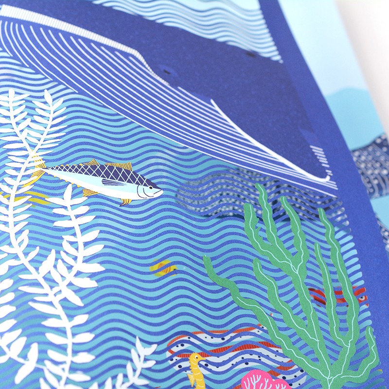 海洋的奥秘（奇想国童书）全景式呈现海洋风貌，包含海洋生物、生态系统，激光镂空、翻翻、拉页和层次设计暑假阅读暑假课外书课外暑假自主阅读暑期假期读物