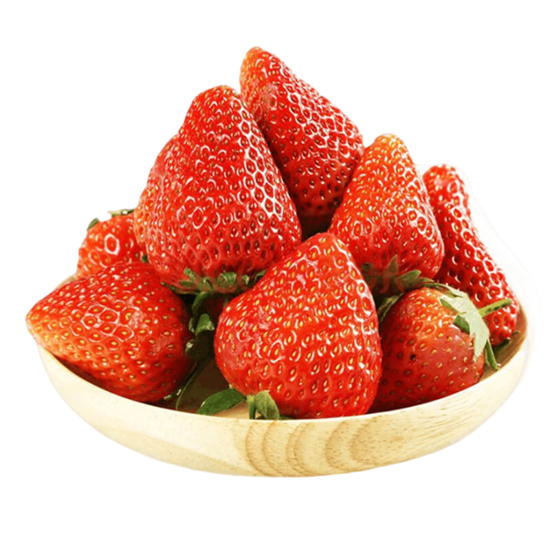 闽农语果四川大凉山草莓【JD顺丰-多地次日达】99红颜奶油非丹东草莓送礼 带箱3斤【单果8-12g丨净2.5斤】送礼彩箱