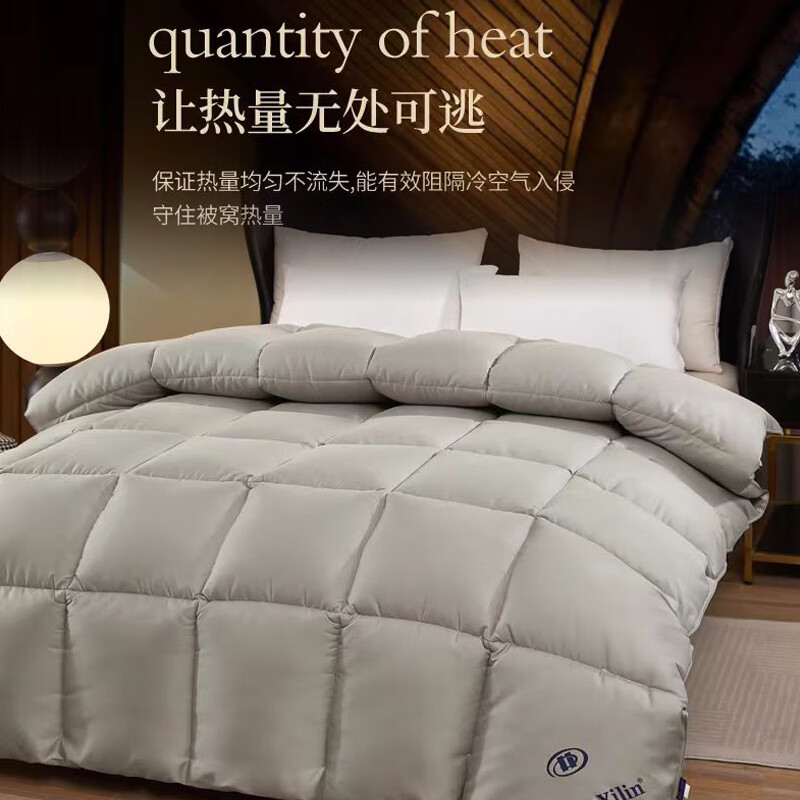 元族希尔顿星级酒店全棉加厚保暖羽丝绒被冬季被芯冬天被子冬被8-10斤 深灰银--希尔顿被子（新款） 200*230cm（8斤）