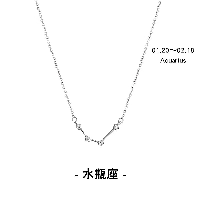 专属项链女简约气质学生闺蜜ins潮人网红小众锁骨链礼物 水瓶座项链