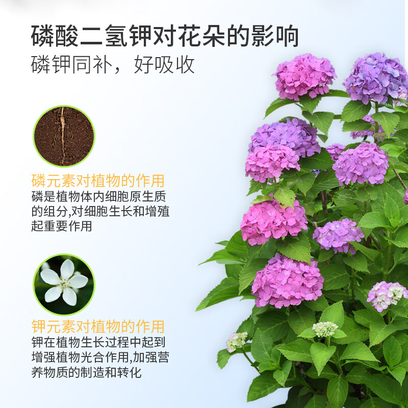 植美施磷酸二氢钾肥料催花促花养花专用家用水溶肥叶面喷施 500g磷酸二氢钾1袋