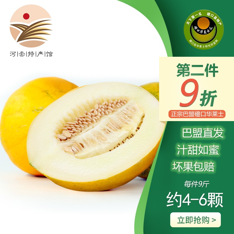 【河套馆】磴口华莱士瓜 内蒙巴盟特产 8-9斤 河套密瓜 现摘新鲜水果