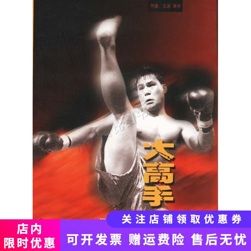 大高手超级散打王柳海龙武功实录