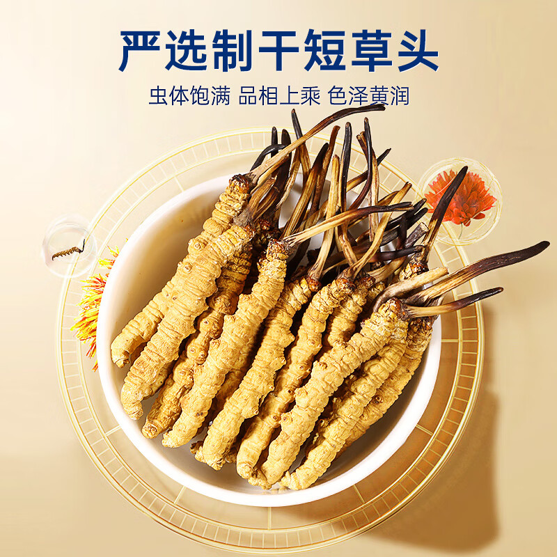 紫蓝花海冬虫夏草 头茬新干虫草滋补品过节送礼滋补健康礼盒 3-4根/g 10g*1盒 【镇店爆款】