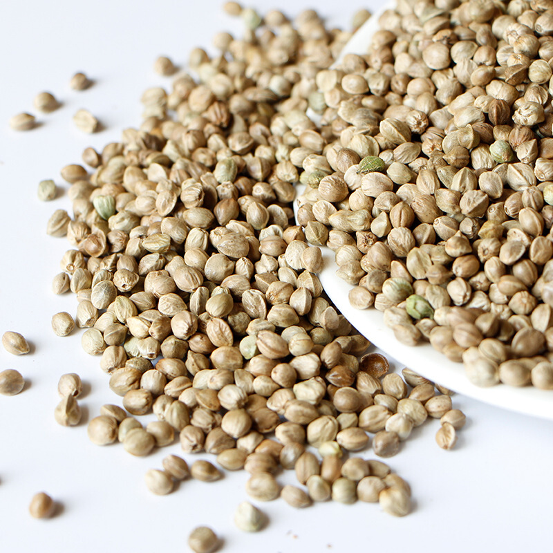 虎钢馋云南大理麻子500克火麻子带壳大颗粒零食新货原味火麻仁拍3斤