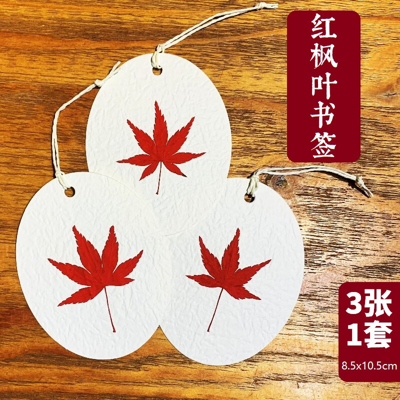 3张一套成都银杏叶书签diy手工树叶植物标本小吊牌定制毕业班纪念品